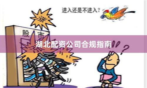 湖北配资公司合规指南